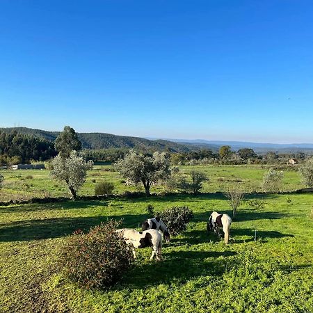 Quinta Da Barroca Do Cabo Bed & Breakfast Azere  Bagian luar foto