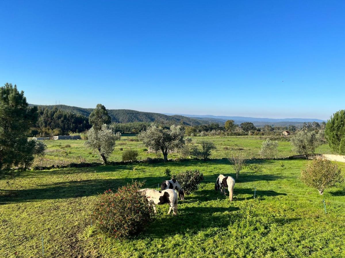 Quinta Da Barroca Do Cabo Bed & Breakfast Azere  Bagian luar foto